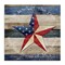 Stupell Industries Patriotic Star & Phrase Canvas By Susan Arnot